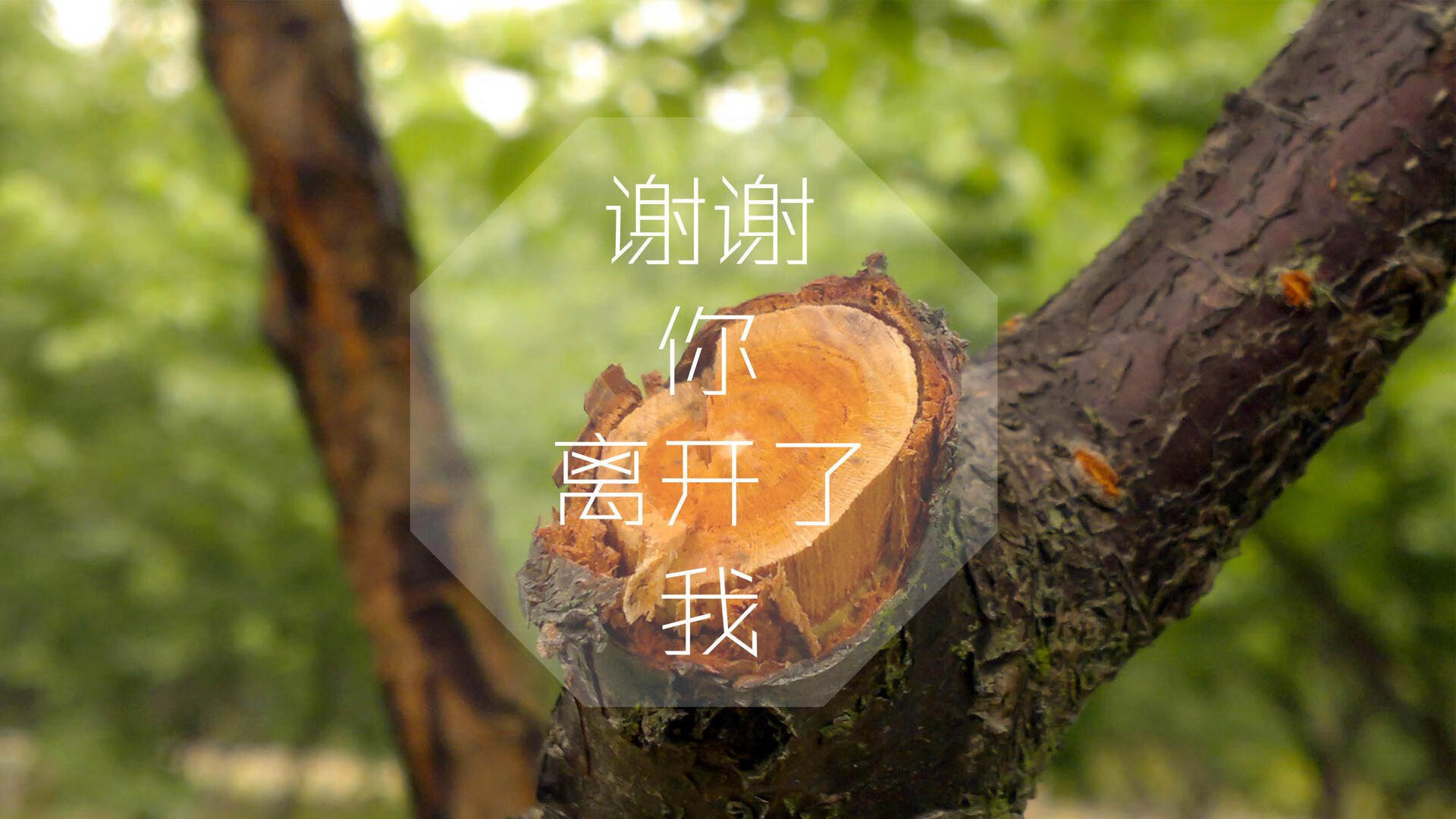 爱游戏登录入口-中超联赛竞争格局日趋激烈，中超联赛制度的变化