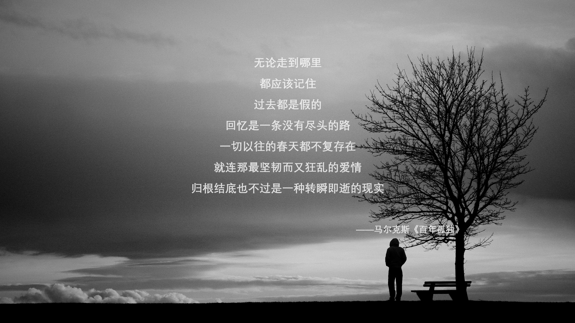 瑞典队乒乓球战术：从远台控制到近台攻击的完美过渡，被誉为乒坛常青树的瑞典乒乓球选手