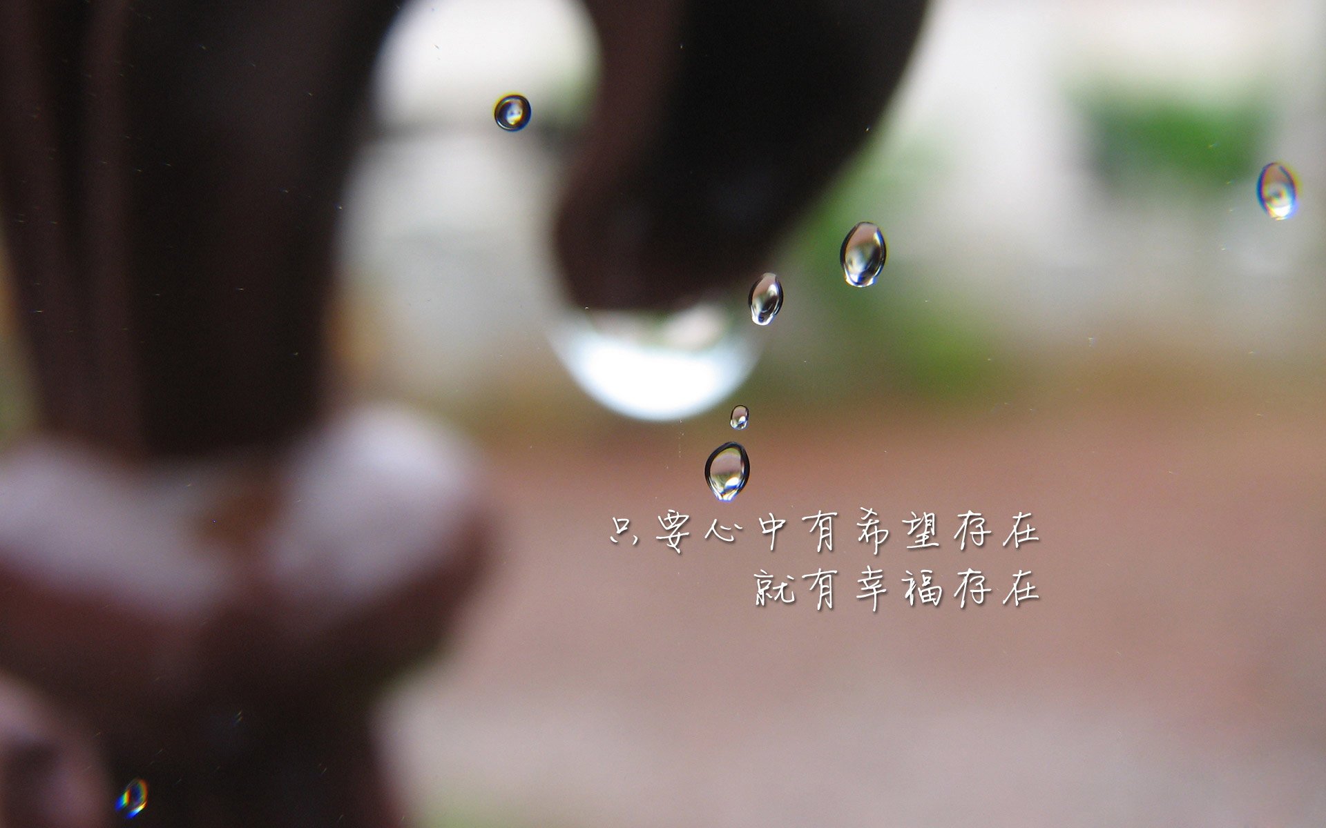 爱游戏体育APP下载-“费尔南多·比亚尔巴在阿根廷美洲狮队中的决定性角色”