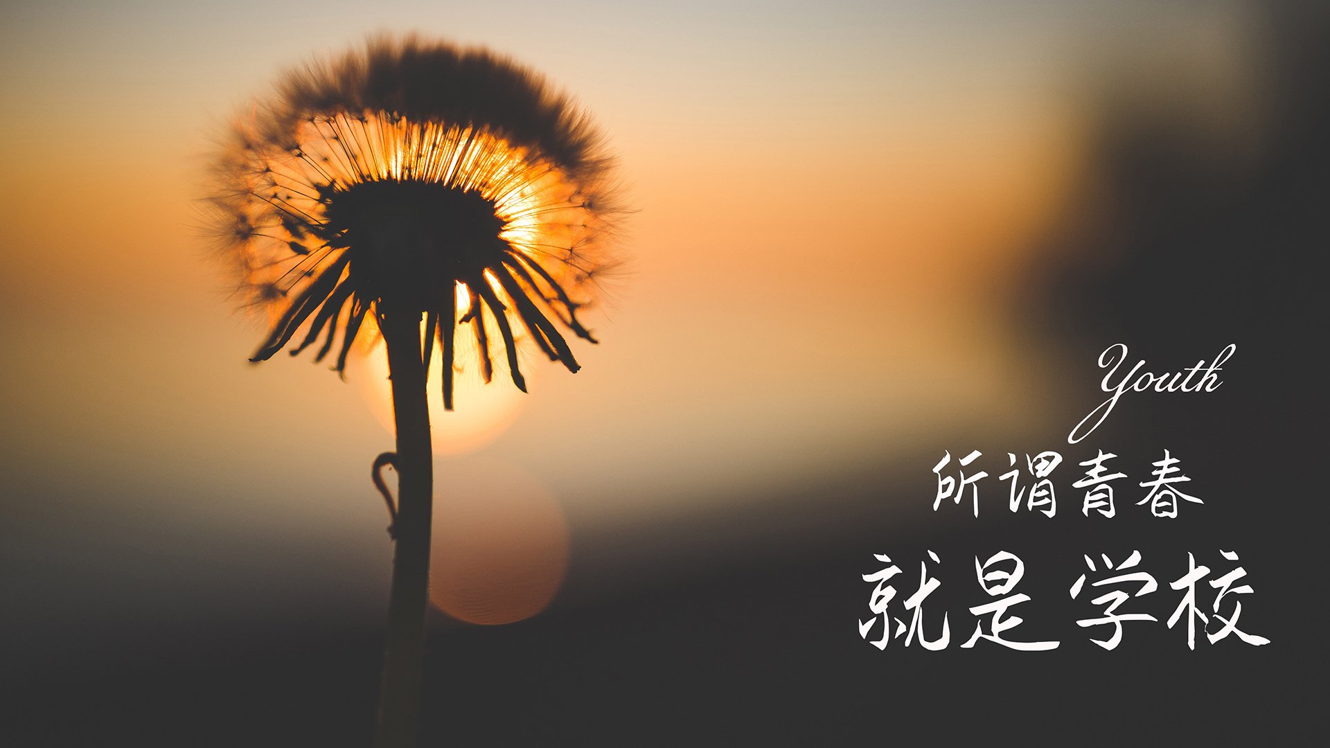 训练基地首次对外开放,训练基地首次对外开放是哪一年