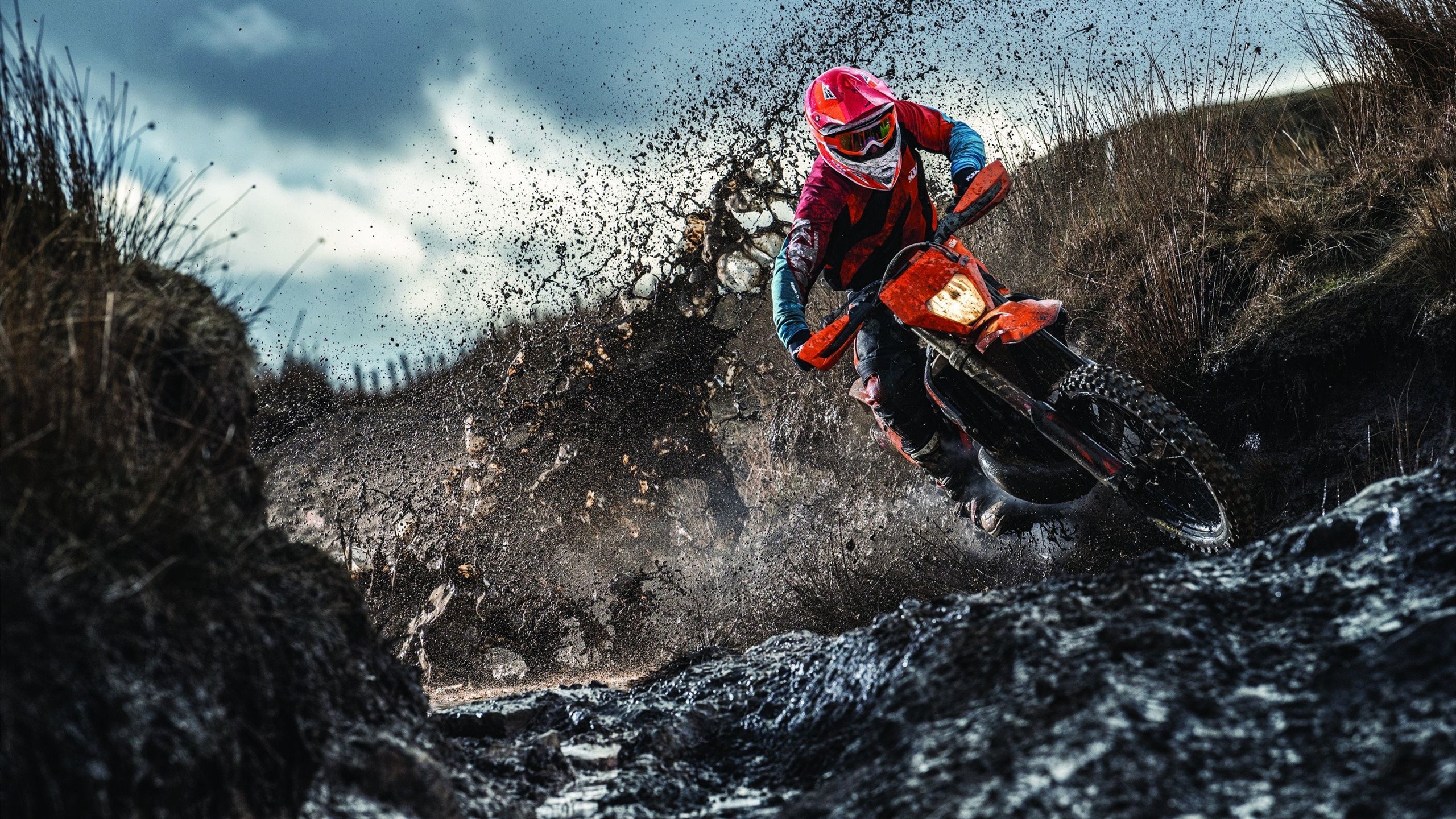 【比赛走向】从统计数据预测本季季后赛走向，季后赛出线形势