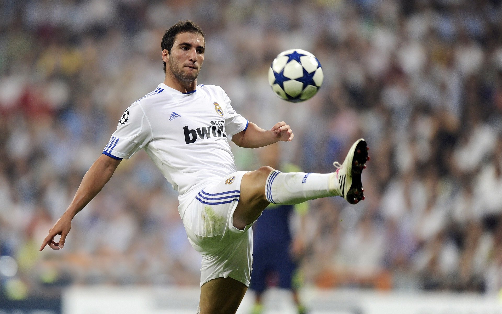 不莱梅主场粉碎对手野心，不莱梅青训