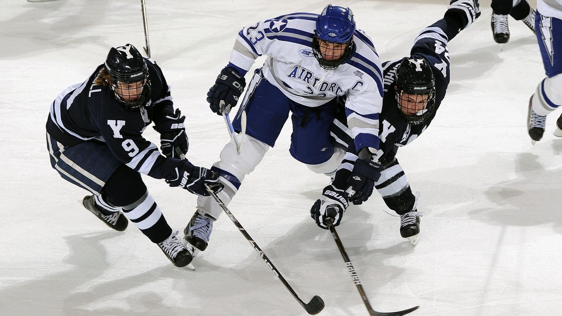 从零到冠军：新星如何书写逆袭传奇